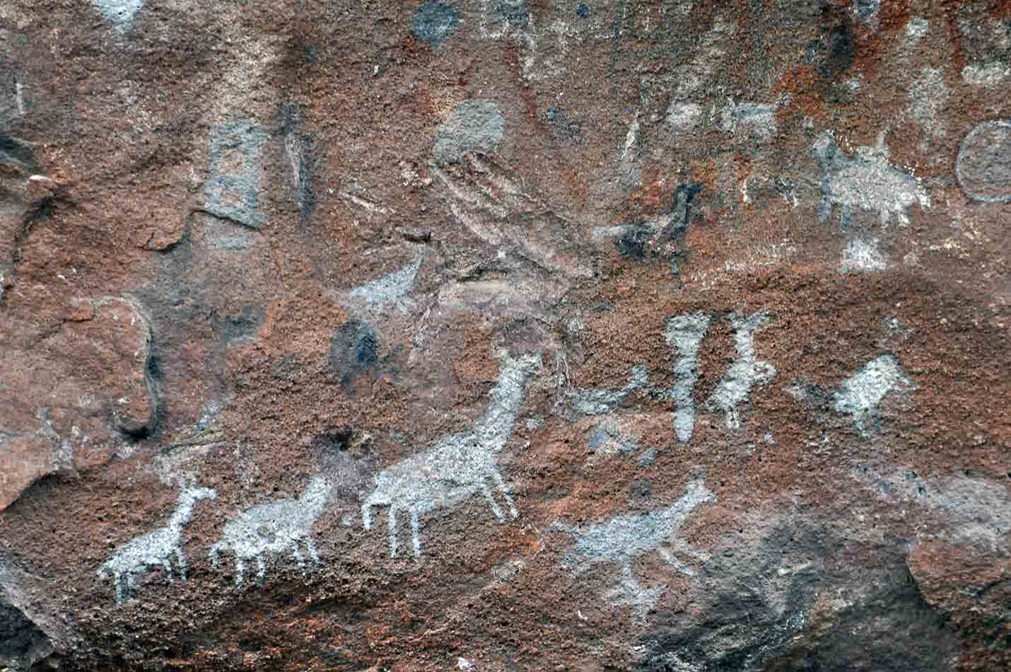 Museo y Reserva Cultural Natural Cerro Colorado