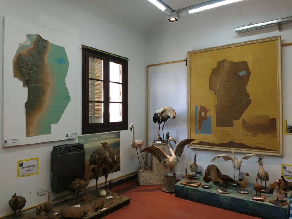 Museo Escolar de la Escuela Normal Superior Dr. Agustín Garzón Agulla
